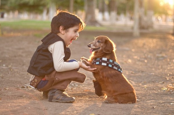 Han Solo y Chewbacca.